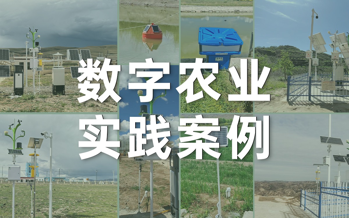 案例深一度 | 賽通科技如何用數(shù)字科技賦能西部農(nóng)業(yè)