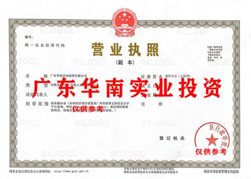 廣東華南實(shí)業(yè)公司數(shù)據(jù)處理和存儲(chǔ)支持服務(wù)轉(zhuǎn)讓公告