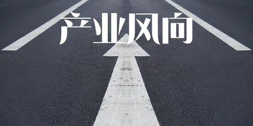領(lǐng)克汽車在杭州成立互聯(lián)科技公司，加速智能出行布局